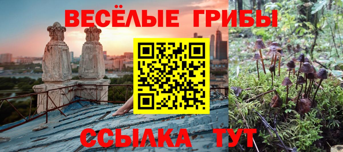 Галлюциногенные грибы мухоморы  Павловский Посад  что такое наркотик  Псилоцибиновые грибы MAGIC MUSHROOMS 