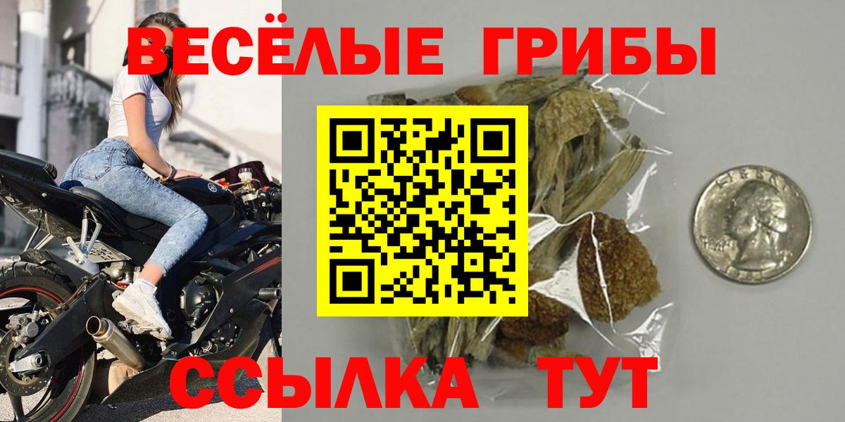 Павловский Посад  Псилоцибиновые грибы GOLDEN TEACHER  Вход с VPN 